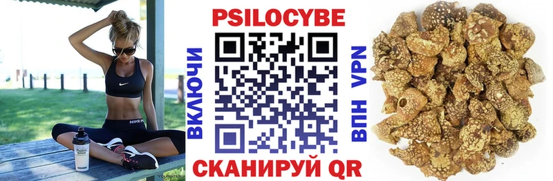 площадка как зайти  Междуреченск  Галлюциногенные грибы Psilocybine cubensis  наркошоп 