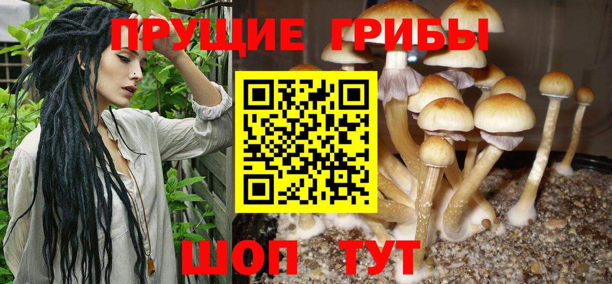 что такое наркотик  Вход с VPN  Псилоцибиновые грибы мухоморы  Междуреченск  Псилоцибиновые грибы MAGIC MUSHROOMS 
