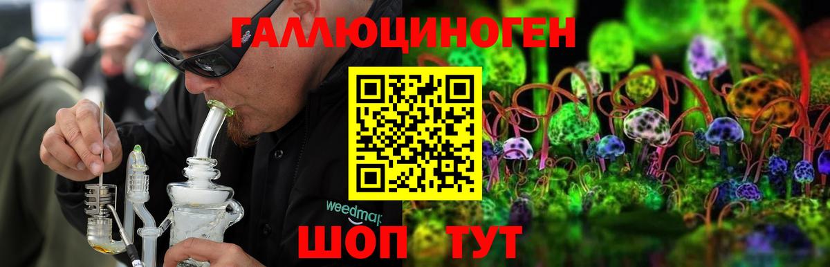 Псилоцибиновые грибы Psilocybine cubensis Междуреченск